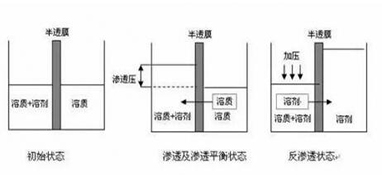 ro膜是什么？为什么说它是净水器的灵魂？