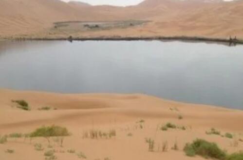 什么是沙漠移动式净水系统？