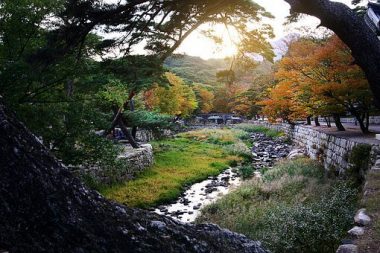 中部地区农村生活污水治理现状分析