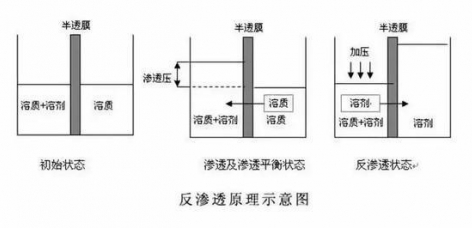 ro膜是什么？为什么说它是净水器的灵魂？  hot